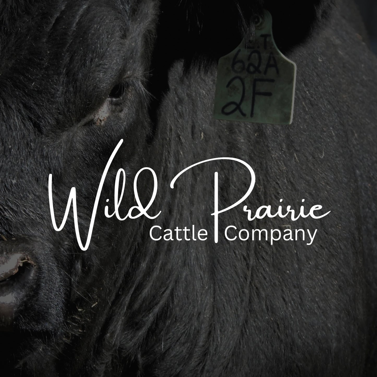 Wild Prairie Gift Card