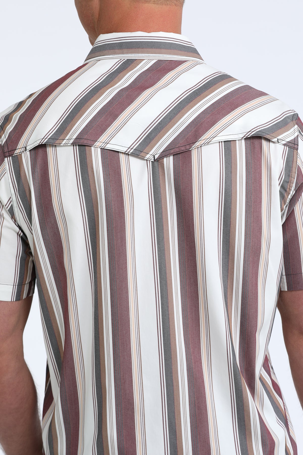Cinch Camp Shirt - Burgundy Stripe