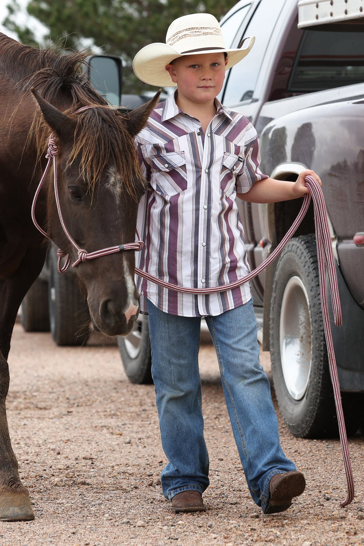 Cinch Boys Camp Shirt - Burgundy Stripe